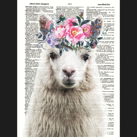 Llama Alpaca Dictionary Art Print Decor - Picture 1 of 4
